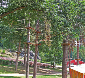 Fotogalerie, Výlety po České republice