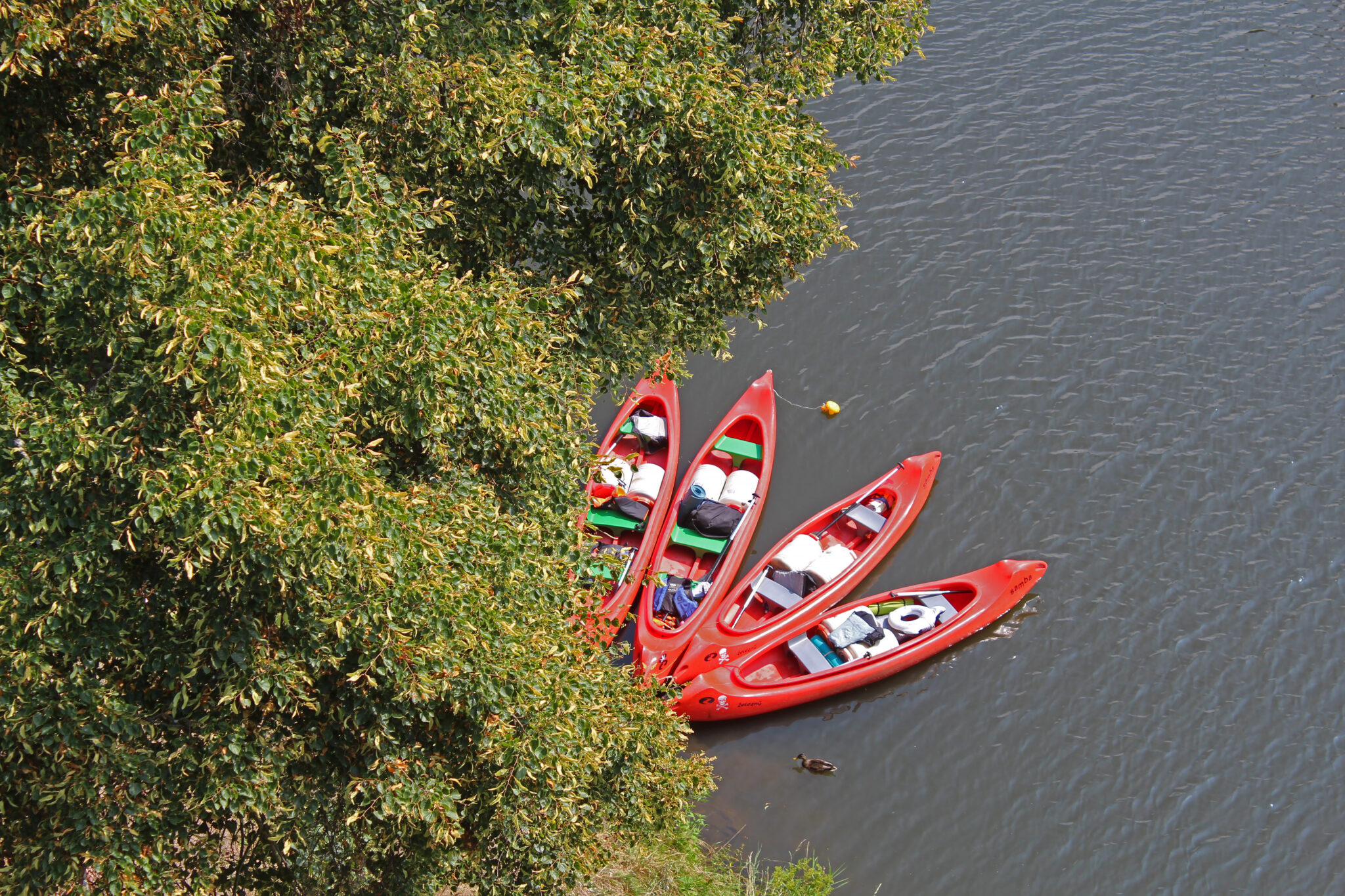 Fotogalerie, Výlety po České republice