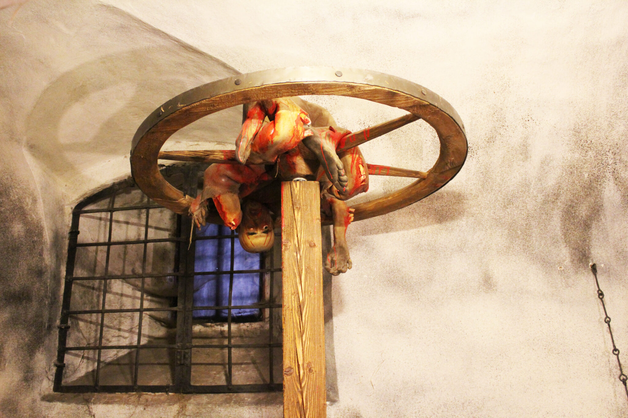 Fotogalerie, Výlety po České republice