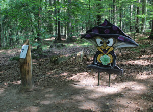 Fotogalerie, Výlety po České republice