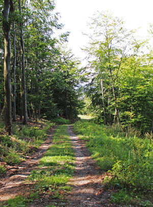 Fotogalerie, Výlety po České republice