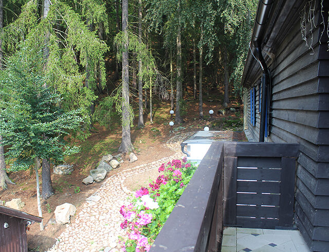 Fotogalerie, Výlety po České republice