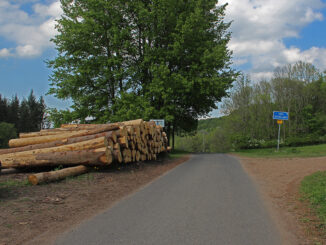 Fotogalerie, Výlety po České republice