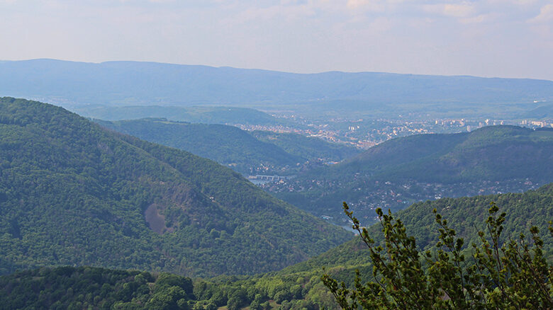 Fotogalerie, Výlety po České republice