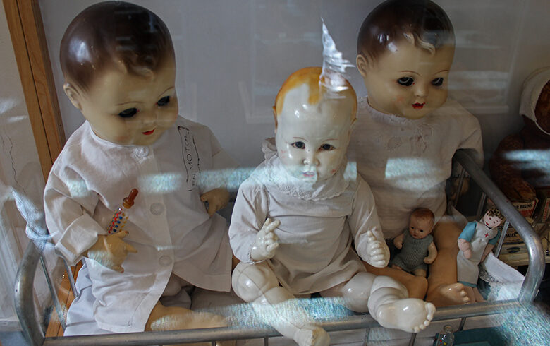 Fotogalerie, Výlety po České republice