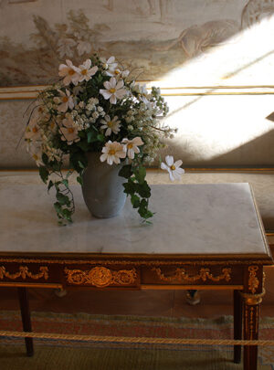 Fotogalerie, Výlety po České republice