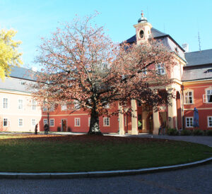 Fotogalerie, Výlety po České republice