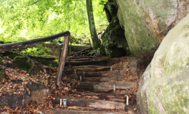 Fotogalerie, Výlety po České republice