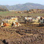 Fotogalerie, Výlety po České republice