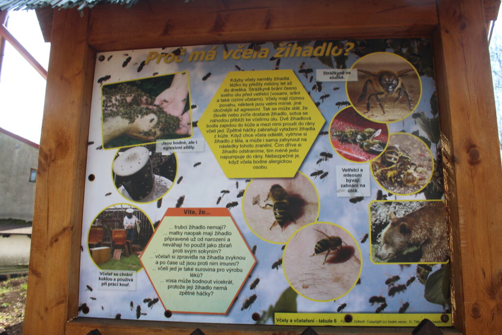 Fotogalerie, Výlety po České republice