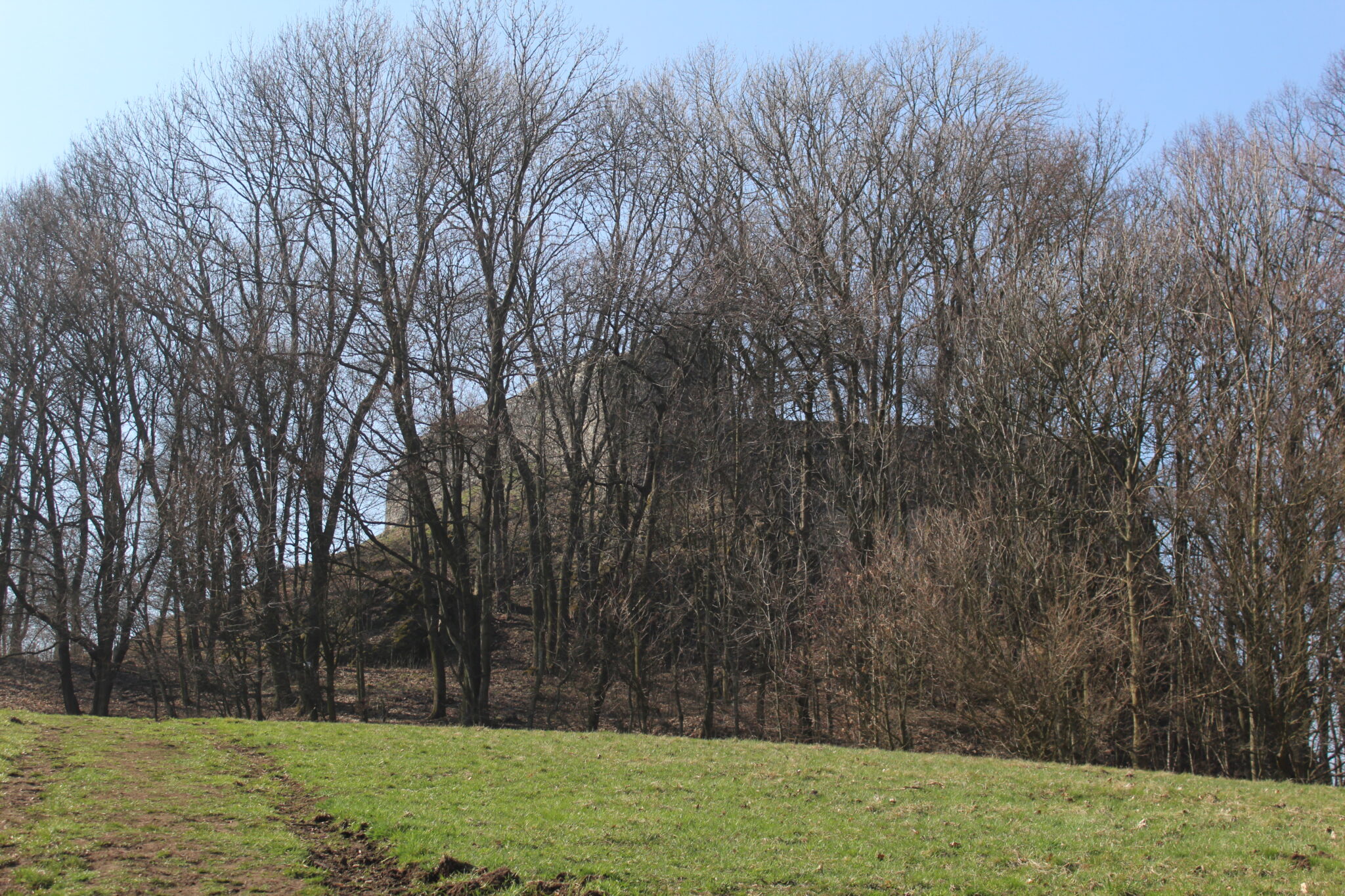 Fotogalerie, Výlety po České republice