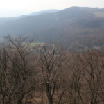 Fotogalerie, Výlety po České republice