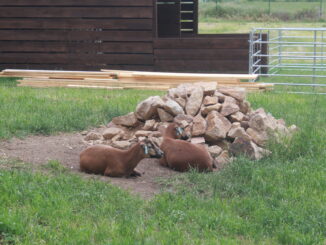 Fotogalerie, Výlety po České republice