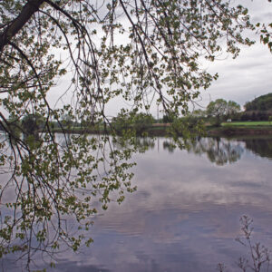 Fotogalerie, Výlety po České republice