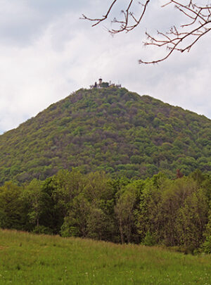 Fotogalerie, Výlety po České republice