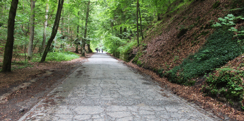 Fotogalerie, Výlety po České republice