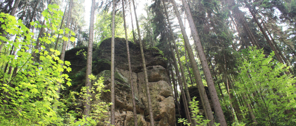 Fotogalerie, Výlety po České republice