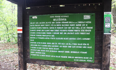 Fotogalerie, Výlety po České republice