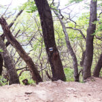 Fotogalerie, Výlety po České republice