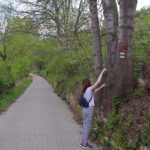 Fotogalerie, Výlety po České republice