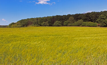 Fotogalerie, Výlety po České republice