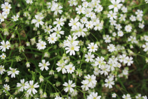 Fotogalerie, Výlety po České republice